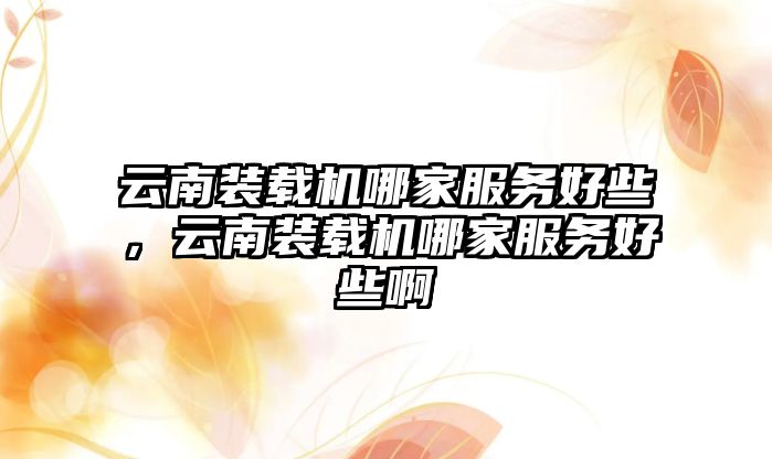 云南裝載機哪家服務好些，云南裝載機哪家服務好些啊