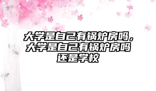 大學(xué)是自己有鍋爐房嗎，大學(xué)是自己有鍋爐房嗎還是學(xué)校
