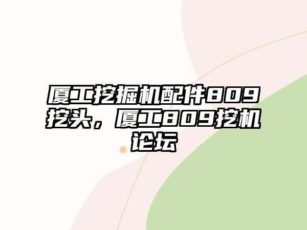 廈工挖掘機配件809挖頭，廈工809挖機論壇