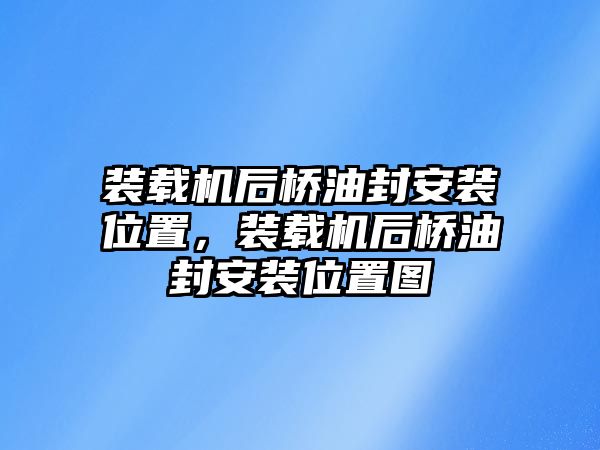 裝載機(jī)后橋油封安裝位置，裝載機(jī)后橋油封安裝位置圖