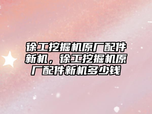 徐工挖掘機原廠配件新機，徐工挖掘機原廠配件新機多少錢