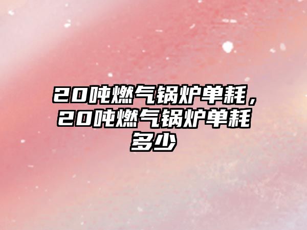 20噸燃氣鍋爐單耗，20噸燃氣鍋爐單耗多少