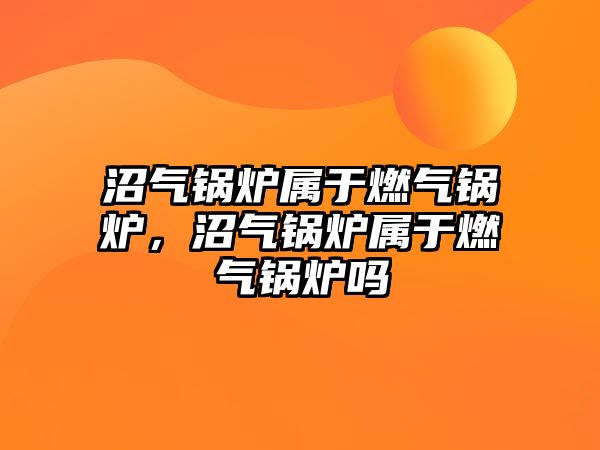 沼氣鍋爐屬于燃?xì)忮仩t，沼氣鍋爐屬于燃?xì)忮仩t嗎