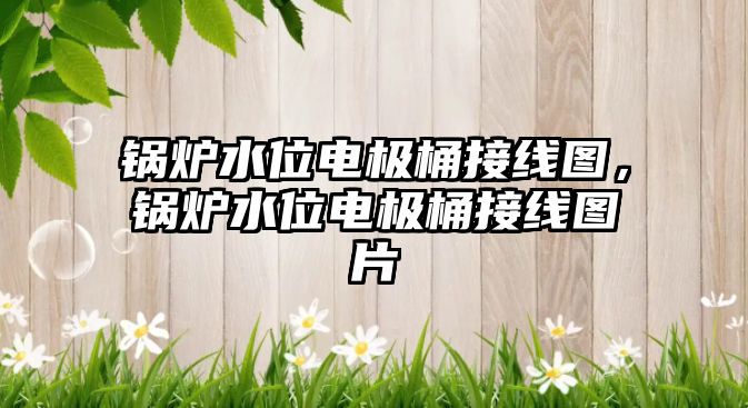 鍋爐水位電極桶接線圖，鍋爐水位電極桶接線圖片