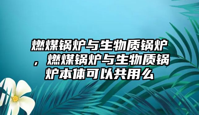 燃煤鍋爐與生物質(zhì)鍋爐，燃煤鍋爐與生物質(zhì)鍋爐本體可以共用么