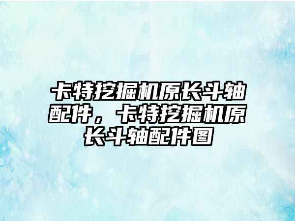卡特挖掘機(jī)原長(zhǎng)斗軸配件，卡特挖掘機(jī)原長(zhǎng)斗軸配件圖