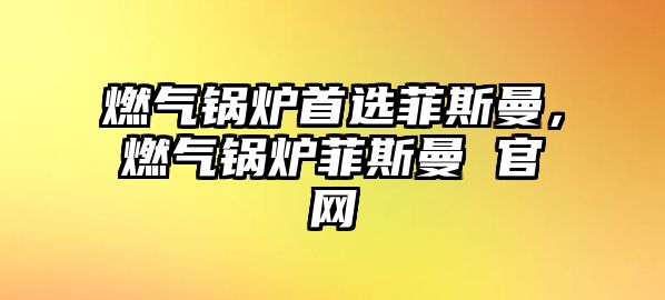 燃?xì)忮仩t首選菲斯曼，燃?xì)忮仩t菲斯曼 官網(wǎng)