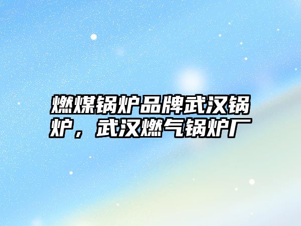 燃煤鍋爐品牌武漢鍋爐，武漢燃?xì)忮仩t廠
