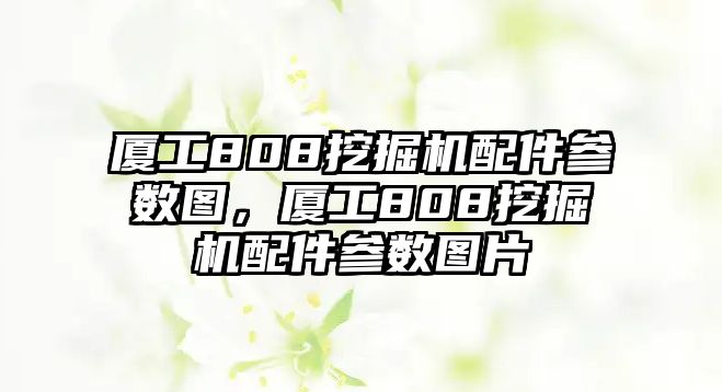廈工808挖掘機(jī)配件參數(shù)圖，廈工808挖掘機(jī)配件參數(shù)圖片