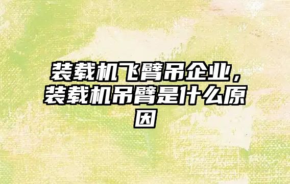 裝載機(jī)飛臂吊企業(yè)，裝載機(jī)吊臂是什么原因