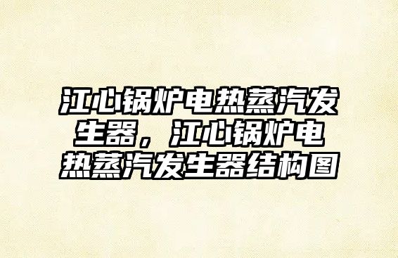 江心鍋爐電熱蒸汽發(fā)生器，江心鍋爐電熱蒸汽發(fā)生器結(jié)構(gòu)圖