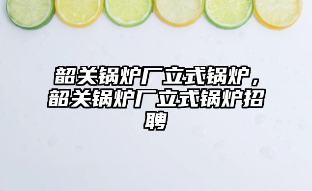 韶關(guān)鍋爐廠立式鍋爐，韶關(guān)鍋爐廠立式鍋爐招聘