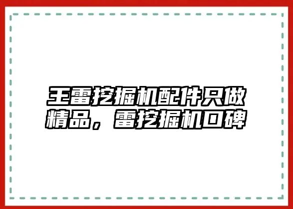 王雷挖掘機配件只做精品，雷挖掘機口碑