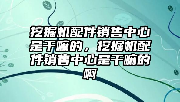 挖掘機配件銷售中心是干嘛的，挖掘機配件銷售中心是干嘛的啊