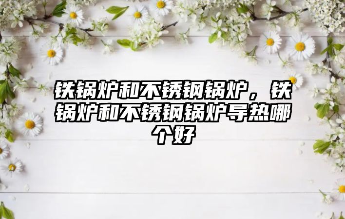 鐵鍋爐和不銹鋼鍋爐，鐵鍋爐和不銹鋼鍋爐導(dǎo)熱哪個(gè)好