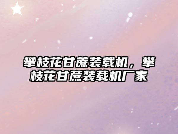 攀枝花甘蔗裝載機(jī)，攀枝花甘蔗裝載機(jī)廠家