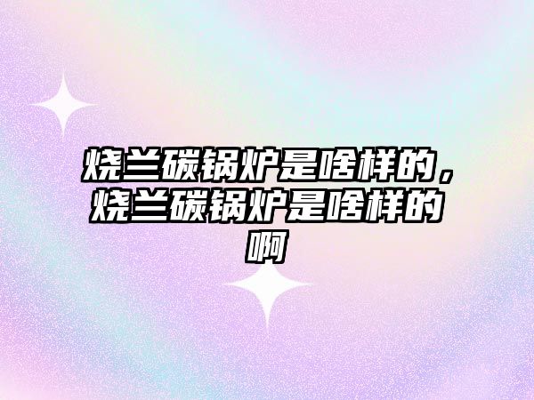 燒蘭碳鍋爐是啥樣的，燒蘭碳鍋爐是啥樣的啊
