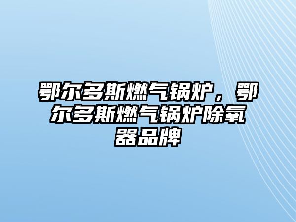 鄂爾多斯燃?xì)忮仩t，鄂爾多斯燃?xì)忮仩t除氧器品牌