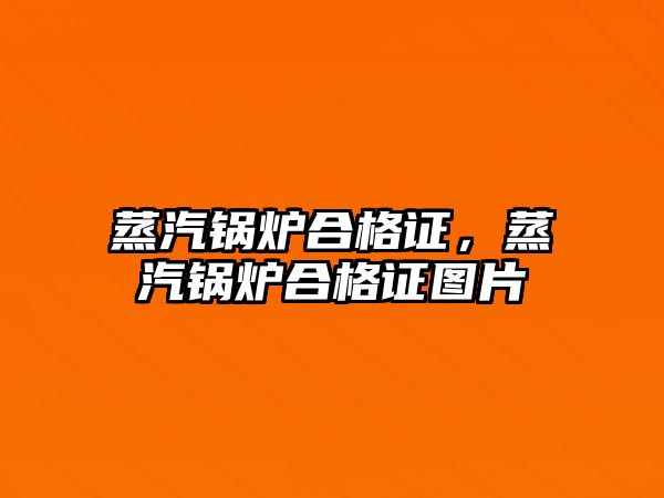 蒸汽鍋爐合格證，蒸汽鍋爐合格證圖片