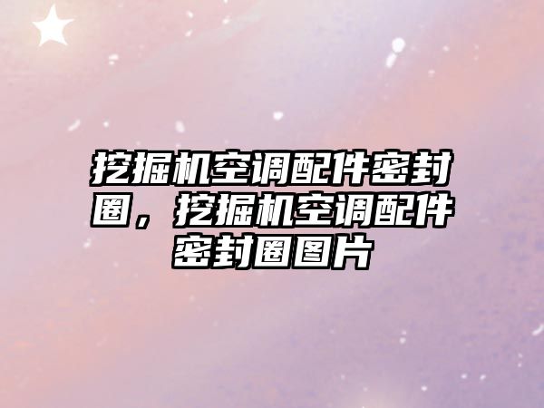 挖掘機空調(diào)配件密封圈，挖掘機空調(diào)配件密封圈圖片