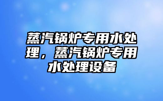 蒸汽鍋爐專用水處理，蒸汽鍋爐專用水處理設(shè)備