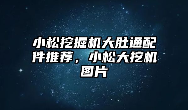 小松挖掘機(jī)大肚通配件推薦，小松大挖機(jī)圖片