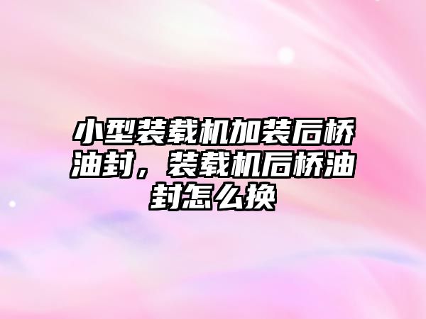 小型裝載機(jī)加裝后橋油封，裝載機(jī)后橋油封怎么換