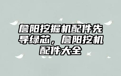 詹陽挖掘機配件先導綠芯，詹陽挖機配件大全
