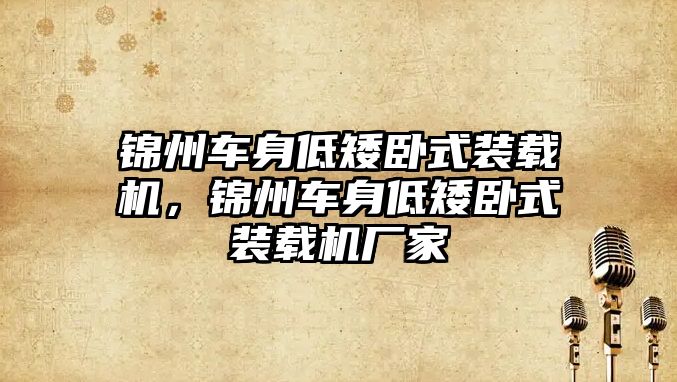 錦州車身低矮臥式裝載機，錦州車身低矮臥式裝載機廠家
