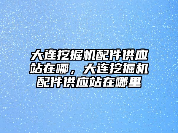 大連挖掘機(jī)配件供應(yīng)站在哪，大連挖掘機(jī)配件供應(yīng)站在哪里