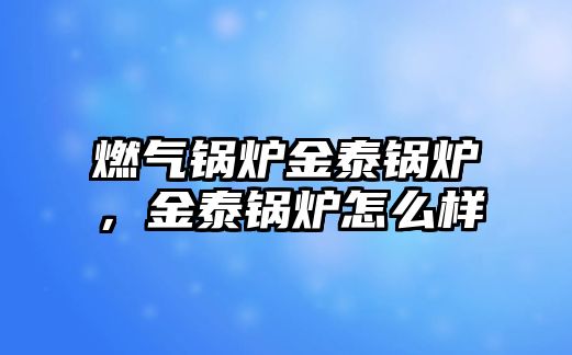 燃?xì)忮仩t金泰鍋爐，金泰鍋爐怎么樣