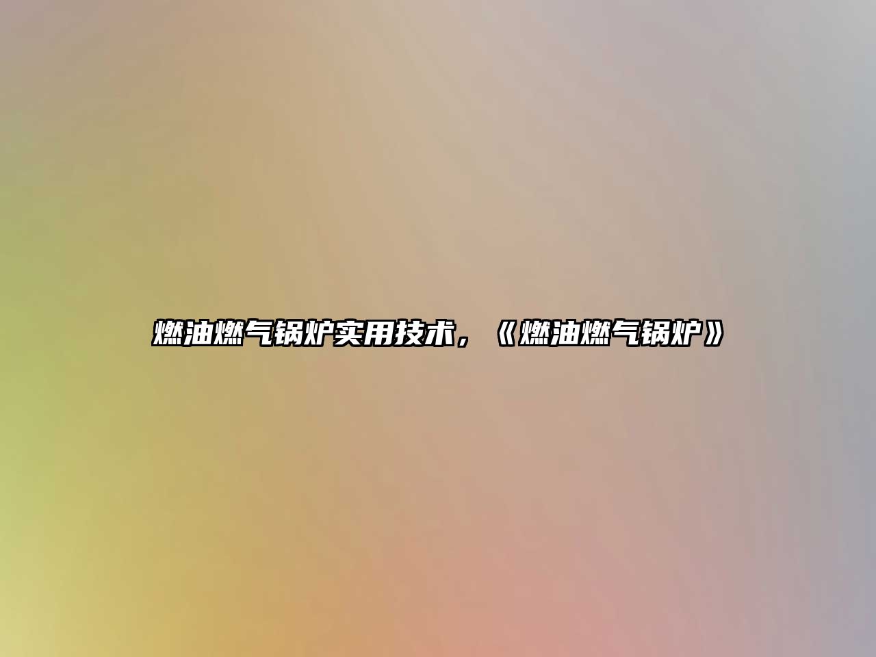 燃油燃氣鍋爐實用技術，《燃油燃氣鍋爐》
