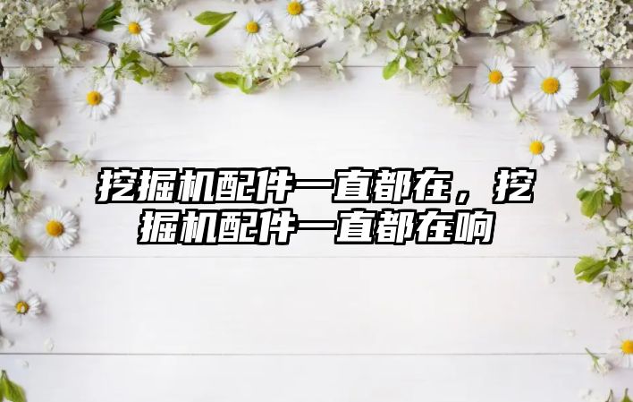 挖掘機配件一直都在，挖掘機配件一直都在響