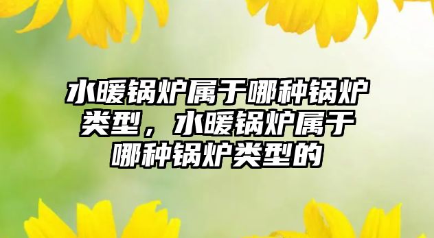 水暖鍋爐屬于哪種鍋爐類型，水暖鍋爐屬于哪種鍋爐類型的
