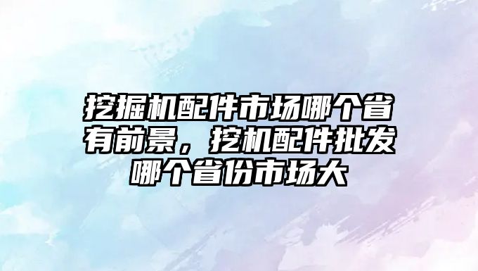 挖掘機(jī)配件市場(chǎng)哪個(gè)省有前景，挖機(jī)配件批發(fā)哪個(gè)省份市場(chǎng)大