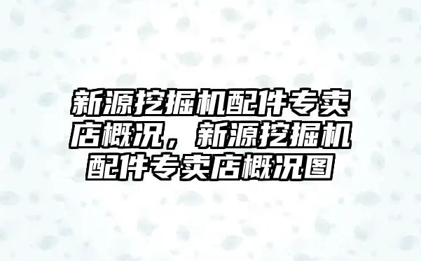 新源挖掘機配件專賣店概況，新源挖掘機配件專賣店概況圖