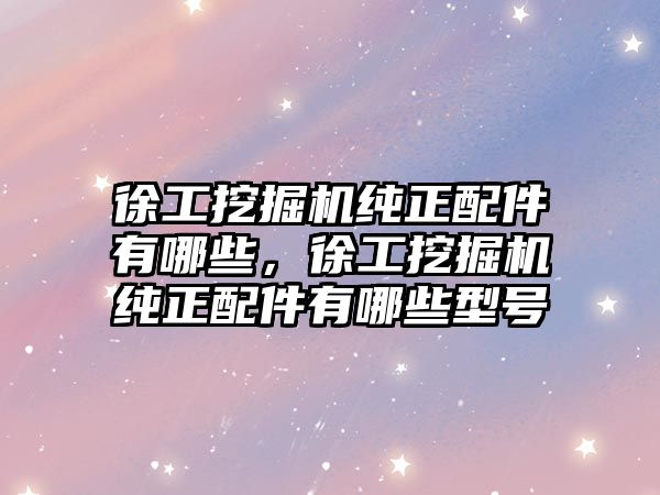 徐工挖掘機純正配件有哪些，徐工挖掘機純正配件有哪些型號