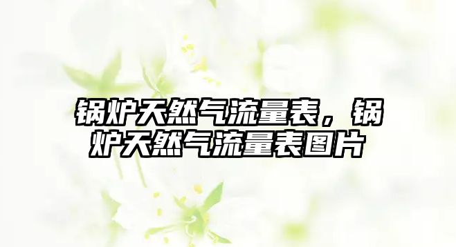 鍋爐天然氣流量表，鍋爐天然氣流量表圖片