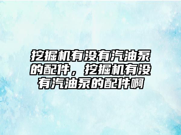 挖掘機(jī)有沒有汽油泵的配件，挖掘機(jī)有沒有汽油泵的配件啊