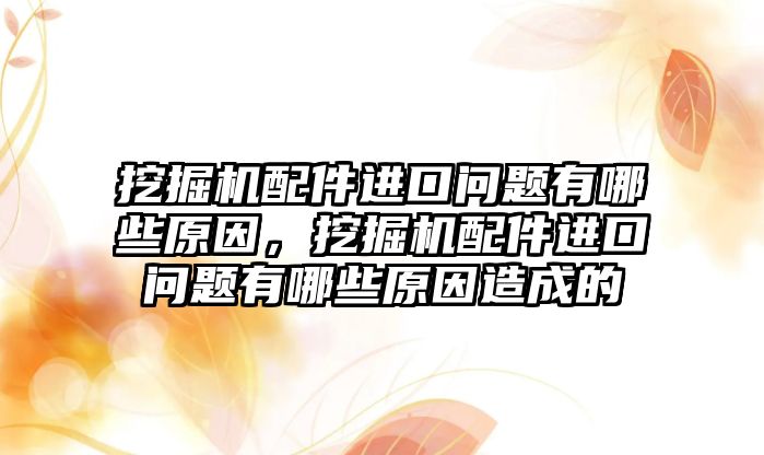 挖掘機(jī)配件進(jìn)口問(wèn)題有哪些原因，挖掘機(jī)配件進(jìn)口問(wèn)題有哪些原因造成的