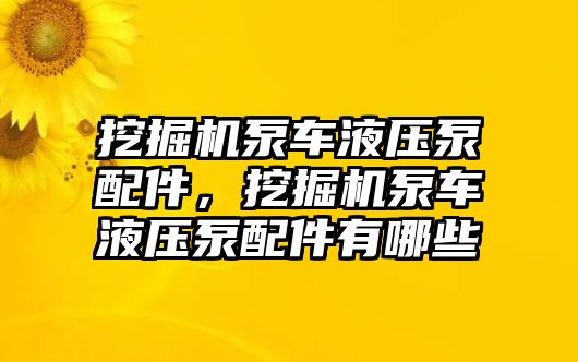 挖掘機泵車液壓泵配件，挖掘機泵車液壓泵配件有哪些