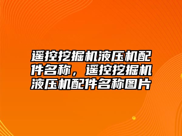 遙控挖掘機(jī)液壓機(jī)配件名稱，遙控挖掘機(jī)液壓機(jī)配件名稱圖片