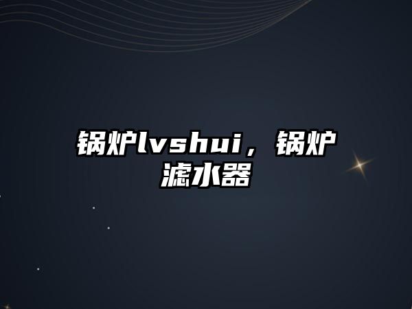 鍋爐lvshui，鍋爐濾水器