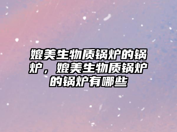 媲美生物質(zhì)鍋爐的鍋爐，媲美生物質(zhì)鍋爐的鍋爐有哪些