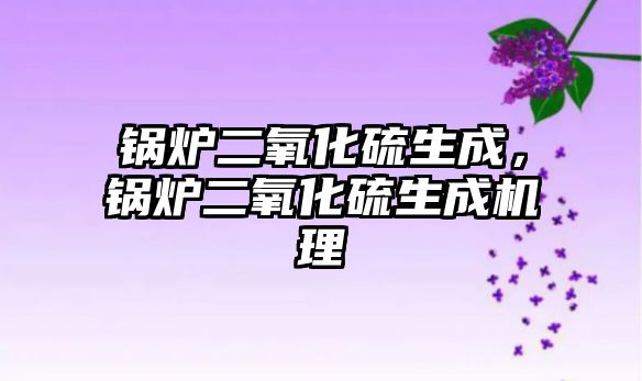 鍋爐二氧化硫生成，鍋爐二氧化硫生成機理