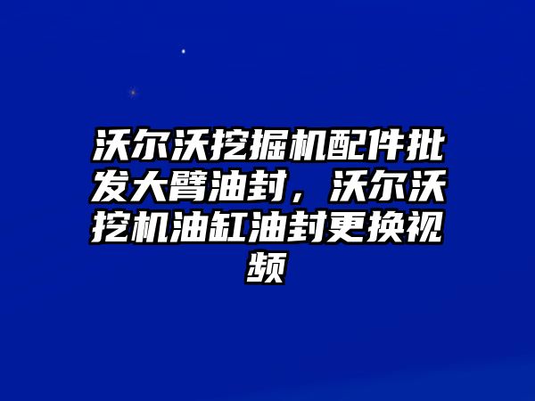 沃爾沃挖掘機配件批發(fā)大臂油封，沃爾沃挖機油缸油封更換視頻