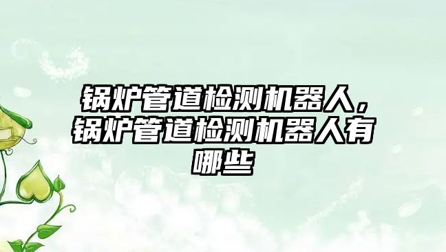 鍋爐管道檢測機器人，鍋爐管道檢測機器人有哪些
