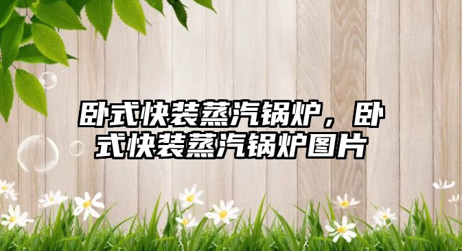 臥式快裝蒸汽鍋爐，臥式快裝蒸汽鍋爐圖片