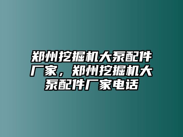 鄭州挖掘機(jī)大泵配件廠家，鄭州挖掘機(jī)大泵配件廠家電話