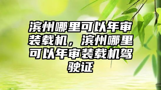 濱州哪里可以年審裝載機，濱州哪里可以年審裝載機駕駛證